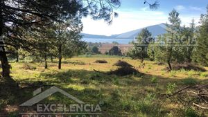 TERRENO CON VISTA AL LAGO DE ZIRAHUEN 1,000 M2