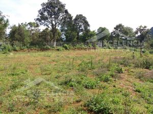 VENTA DE TERRENO EN MUNICIPIO DE PÁTZCUARO A BORDO DE CARRETERA AUTOPISTA.