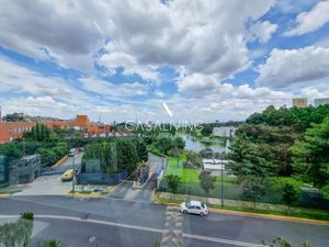 Vista desde la alberca