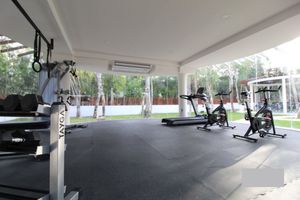 Gimnasio