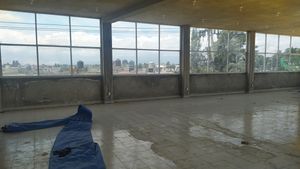 Se renta oficina 250m2