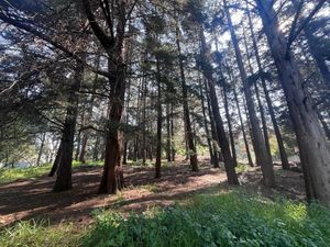 Terreno en VENTA, ubicado en Hacienda San Martín