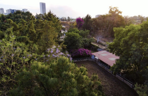 Terreno 5,000m2 uso habitacional, zona Colomos