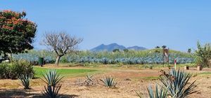 Terreno en Club de Golf Santa Sofia superficie 1,725m2