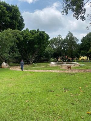 TERRENO EN VENTA TEPOZTLAN