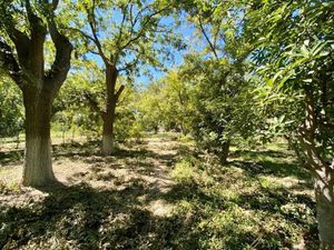 Terreno arbolado en Parras de la Fuente