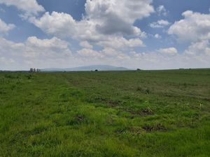 Terreno de 65,867 m cerca de carretera