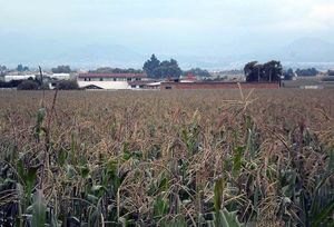 Venta de Terreno de 9.2 Has a 10 mins de Metepec