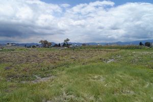 Vendo Terreno en la Zona Dorada de San Mateo Atenco