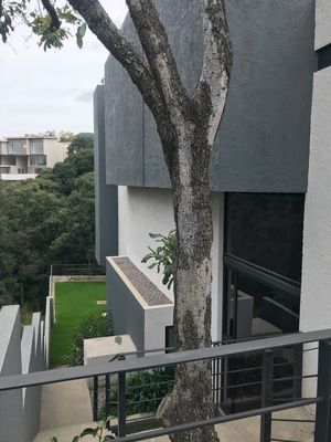 CASA EN CONDOMINIO EN VENTA A ESTRENAR EN RANCHO SAN JUAN, CON JARDÍN, TERRAZAS.