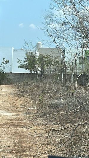 Terreno venta Chichi Suarez Mérida Yucatán
