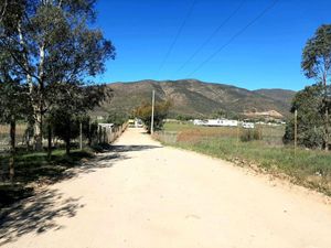 Terreno en Valle de Guadalupe