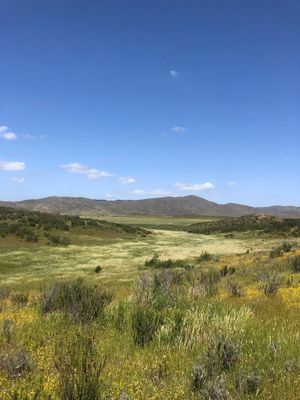 Terreno campestre en venta , Vallecitos