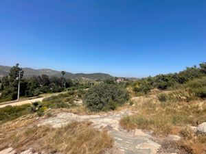 Terreno en Venta en Rancho Tecate de 1,443 m2