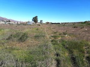 Terreno en Valle de Guadalupe