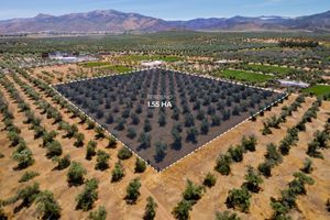 Terreno premium en Venta en Valle de Guadalupe de 1.55 héctareas