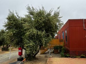 1 .5 HA en Valle de Guadalupe