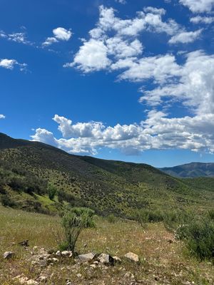 109 HA en la zona de Vallecitos.