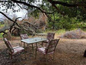 1 .5 HA en Valle de Guadalupe