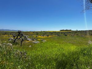 Oportunidad de 5 terrenos en venta de 2,500m en Valle de Guadalupe