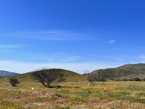 Terreno Campestre plano, en Vallecitos