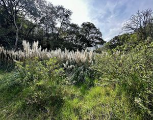 BOSQUE REAL , TERRENO FRENTE AL CAMPO DE GOLF