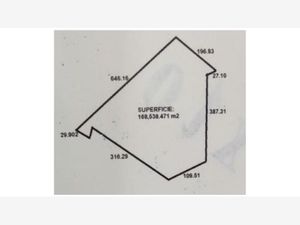 Terreno en Venta en Industrial Mieleras Torreón