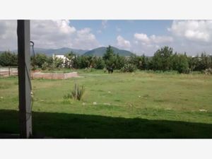 Terreno en Renta en Montenegro Querétaro