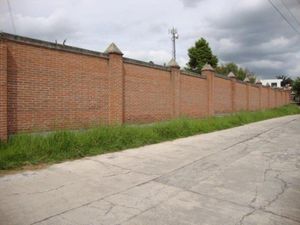 Terreno en Venta en Barrio San Pedro Zona Norte Almoloya de Juárez