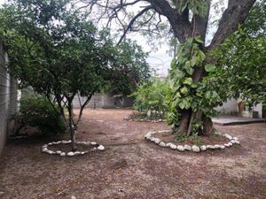 Terreno en Renta en Cadereyta Jimenez Centro Cadereyta Jiménez