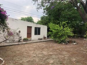 Terreno en Renta en Cadereyta Jimenez Centro Cadereyta Jiménez