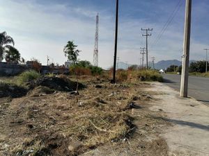 Terreno en Renta en Los Cometas Juárez