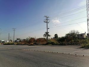 Terreno en Renta en Los Cometas Juárez