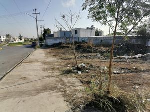 Terreno en Renta en Los Cometas Juárez