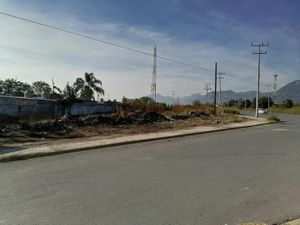 Terreno en Renta en Los Cometas Juárez