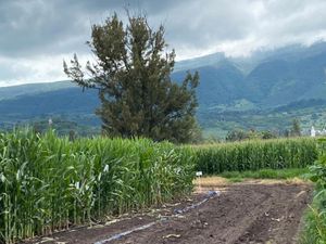 Terreno en Venta en San Miguel Cuyutlan Tlajomulco de Zúñiga