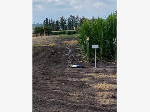 Terreno en Venta en San Miguel Cuyutlan Tlajomulco de Zúñiga