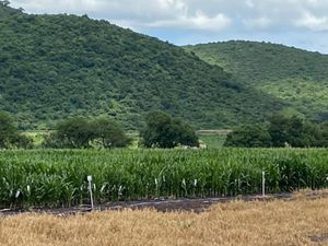 Terreno en Venta en San Miguel Cuyutlan Tlajomulco de Zúñiga