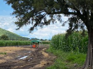 Terreno en Venta en San Miguel Cuyutlan Tlajomulco de Zúñiga