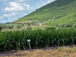 Terreno en Venta en San Miguel Cuyutlan Tlajomulco de Zúñiga