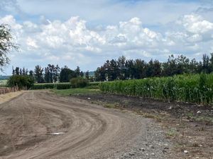 Terreno en Venta en San Miguel Cuyutlan Tlajomulco de Zúñiga