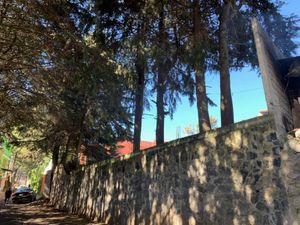 Terreno en Venta en Santo Tomas Ajusco Tlalpan