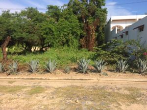 Terreno en Venta en Rincon de Guayabitos Compostela