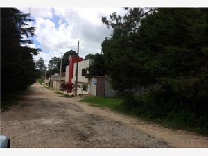 Terreno en Venta en La Cañada San Cristóbal de las Casas