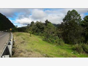 Terreno en Venta en La Cañada San Cristóbal de las Casas