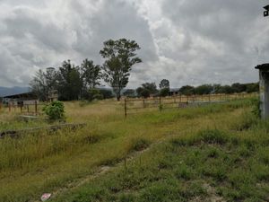 Rancho con Pozo en venta en San Juan del Río, Querétaro 89.7 has sobre carretera