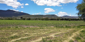 Terreno en Venta en Tierra Blanca, El Marqués