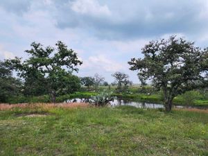 TERRENO EN VENTA EN AMEALCO