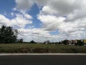 Terreno en Venta en Los Torrentes Aeropuerto Veracruz