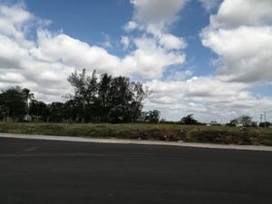 Terreno en Venta en Los Torrentes Aeropuerto Veracruz